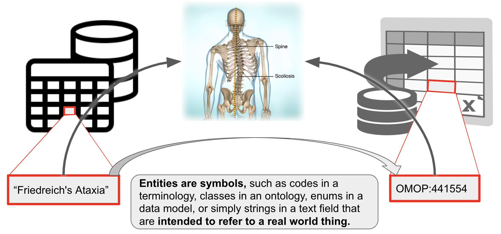 entity mapping