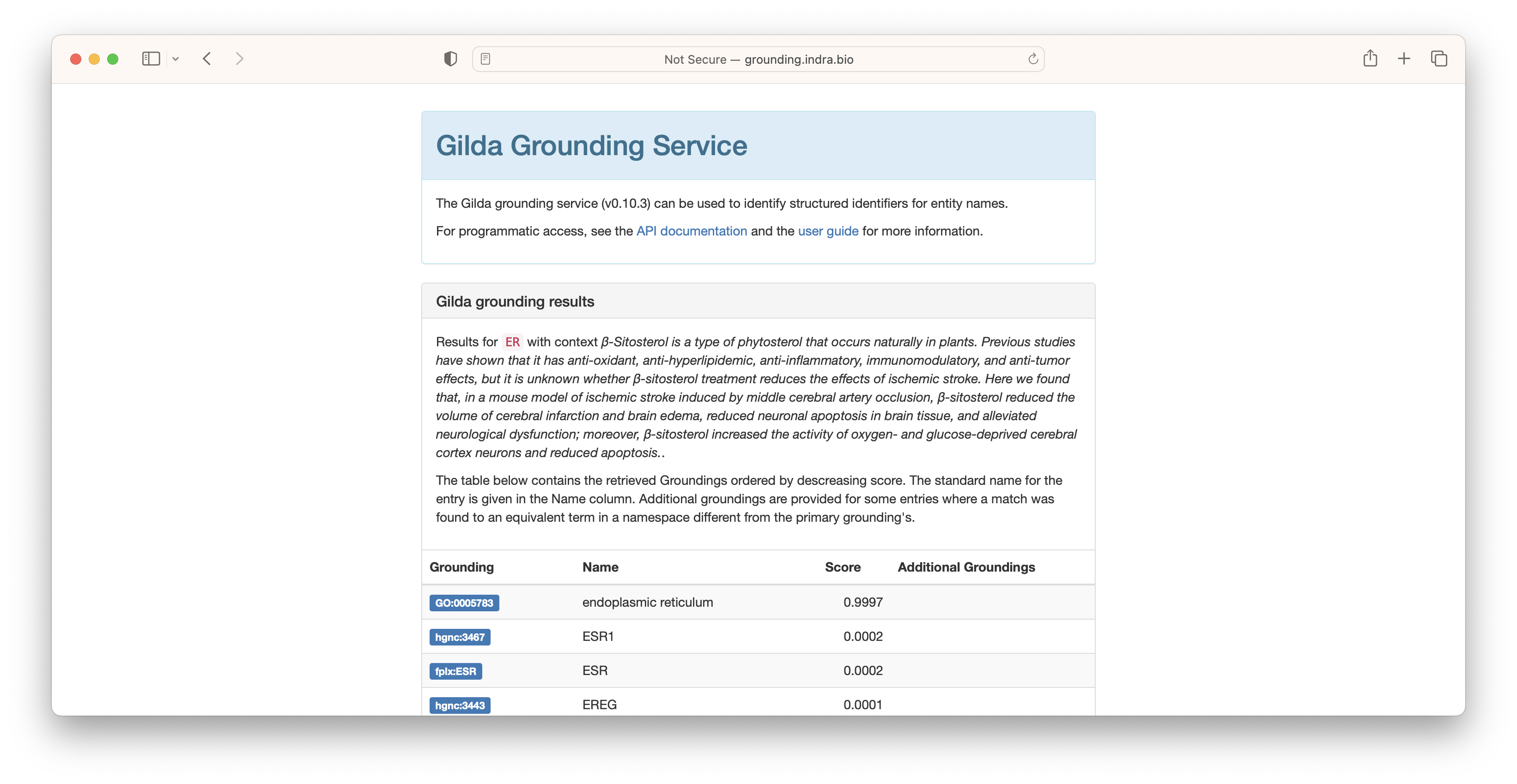The Gilda results page after grounding "ER" with a context paragraph